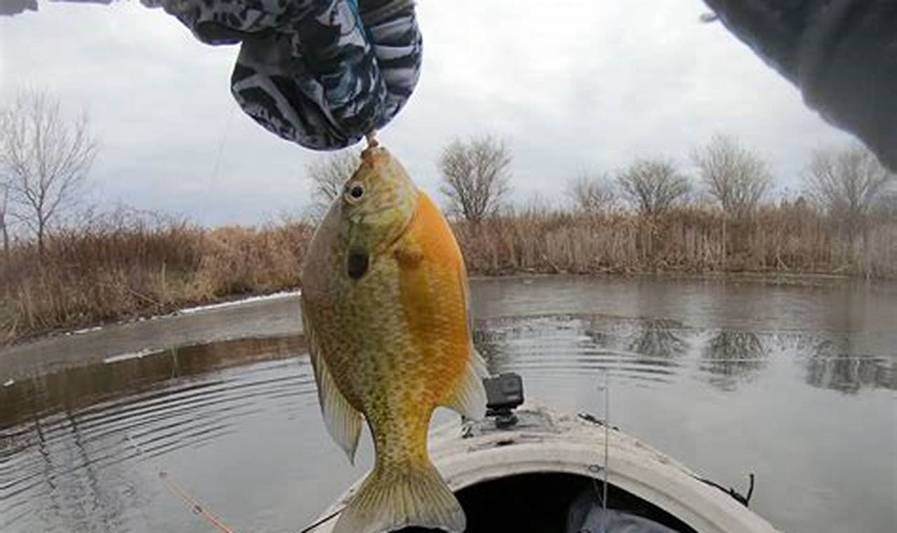 Ultimate Guide to Kayak Ice Fishing Adventures | Certified Kayak Fishing Instructor – Learn Kayak Angling with Expert Guidance