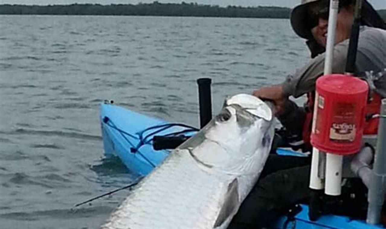 Ultimate Kayak Fishing Guide to Key West | Certified Kayak Fishing Instructor – Learn Kayak Angling with Expert Guidance