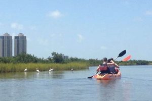 Top Kayak Fishing Spots in Galveston, TX | Certified Kayak Fishing Instructor – Learn Kayak Angling with Expert Guidance