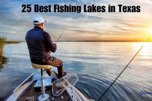 Top Kayak Fishing Lakes in Texas: Guide | Certified Kayak Fishing Instructor – Learn Kayak Angling with Expert Guidance