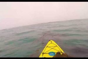 Ultimate Leffingwell Landing Kayak Fishing Guide Certified Kayak Fishing Instructor – Learn Kayak Angling with Expert Guidance Ultimate Leffingwell Landing Kayak Fishing Guide | Certified Kayak Fishing Instructor – Learn Kayak Angling with Expert Guidance