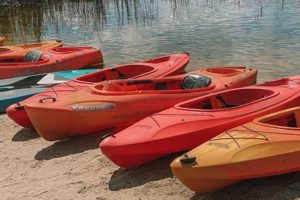 Top Best Kayak Brands for Fishing 2024 | Certified Kayak Fishing Instructor – Learn Kayak Angling with Expert Guidance