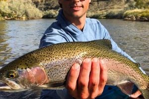 Best Fishing Spots in Jackson, TN | Certified Kayak Fishing Instructor – Learn Kayak Angling with Expert Guidance