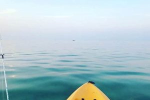 Best Kayak Fishing Spots: Pensacola Beach Guide Certified Kayak Fishing Instructor – Learn Kayak Angling with Expert Guidance Best Kayak Fishing Spots: Pensacola Beach Guide | Certified Kayak Fishing Instructor – Learn Kayak Angling with Expert Guidance