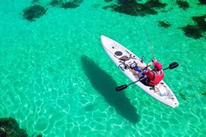 Best Fishing Kayaks for Beginners: Top Picks | Certified Kayak Fishing Instructor – Learn Kayak Angling with Expert Guidance