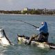 Top Kayak Fishing Spots in Florida | Certified Kayak Fishing Instructor – Learn Kayak Angling with Expert Guidance