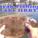 Best Kayak Fishing Spots: Hampton, VA Guide | Certified Kayak Fishing Instructor – Learn Kayak Angling with Expert Guidance