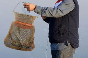 Fish Keeper For Kayak Certified Kayak Fishing Instructor – Learn Kayak Angling with Expert Guidance Fish Keeper For Kayak | Certified Kayak Fishing Instructor – Learn Kayak Angling with Expert Guidance