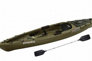 Sun Dolphin Journey 12 Fishing Kayak | Certified Kayak Fishing Instructor – Learn Kayak Angling with Expert Guidance