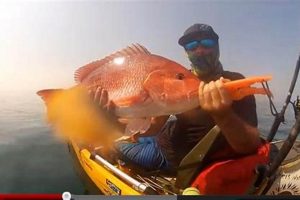 Ultimate Kayak Fishing: Red Snapper Guide Certified Kayak Fishing Instructor – Learn Kayak Angling with Expert Guidance Ultimate Kayak Fishing: Red Snapper Guide | Certified Kayak Fishing Instructor – Learn Kayak Angling with Expert Guidance