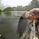 Best Kayak Fishing Spots Knoxville TN | Certified Kayak Fishing Instructor – Learn Kayak Angling with Expert Guidance