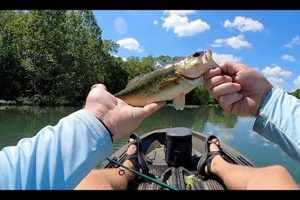 Best Kayak Fishing Spots: James River Guide | Certified Kayak Fishing Instructor – Learn Kayak Angling with Expert Guidance