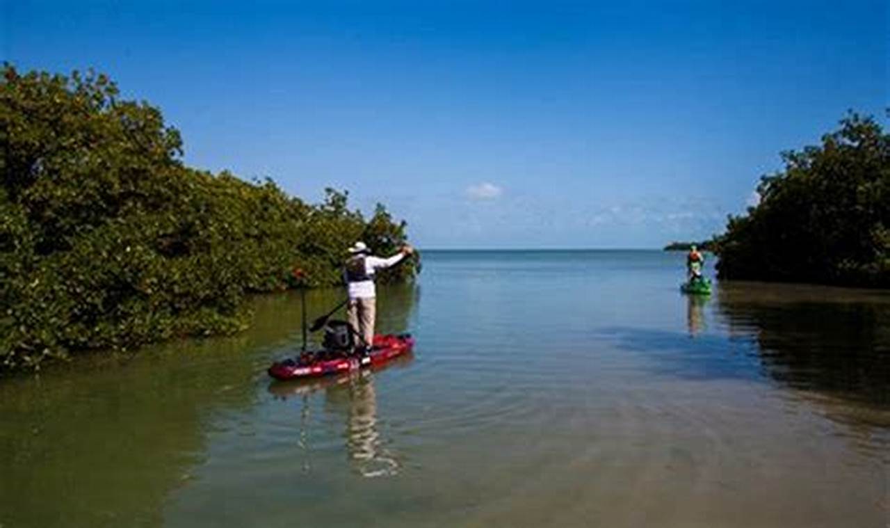 Ultimate Kayak Fishing Belize Adventure | Certified Kayak Fishing Instructor – Learn Kayak Angling with Expert Guidance