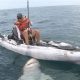 Ultimate Shark Kayak Fishing Guide | Certified Kayak Fishing Instructor – Learn Kayak Angling with Expert Guidance