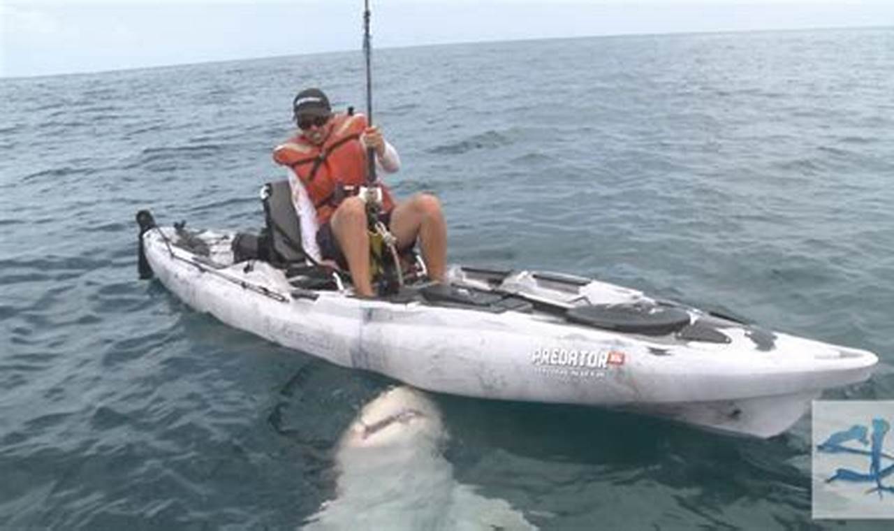 Ultimate Shark Kayak Fishing Guide Certified Kayak Fishing Instructor – Learn Kayak Angling with Expert Guidance Ultimate Shark Kayak Fishing Guide | Certified Kayak Fishing Instructor – Learn Kayak Angling with Expert Guidance