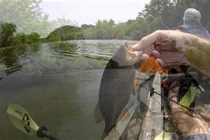Best Kayak Fishing Spots in Knoxville TN Certified Kayak Fishing Instructor – Learn Kayak Angling with Expert Guidance Best Kayak Fishing Spots in Knoxville TN | Certified Kayak Fishing Instructor – Learn Kayak Angling with Expert Guidance