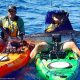 Top La Jolla Kayak Fishing Adventures & Tours | Certified Kayak Fishing Instructor – Learn Kayak Angling with Expert Guidance