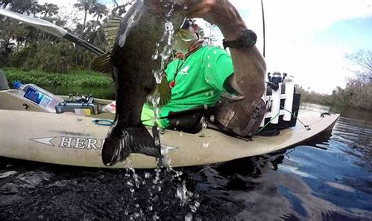 Ultimate St Johns River Kayak Fishing Guide | Certified Kayak Fishing Instructor – Learn Kayak Angling with Expert Guidance