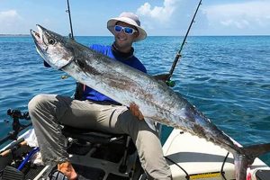 Ultimate Kayak King Mackerel Fishing Guide Certified Kayak Fishing Instructor – Learn Kayak Angling with Expert Guidance Ultimate Kayak King Mackerel Fishing Guide | Certified Kayak Fishing Instructor – Learn Kayak Angling with Expert Guidance