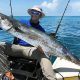 Ultimate Kayak King Mackerel Fishing Guide | Certified Kayak Fishing Instructor – Learn Kayak Angling with Expert Guidance
