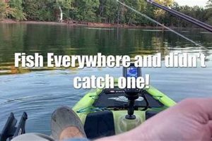 Best Kayak Fishing Spots: Lake Lanier Guide | Certified Kayak Fishing Instructor – Learn Kayak Angling with Expert Guidance
