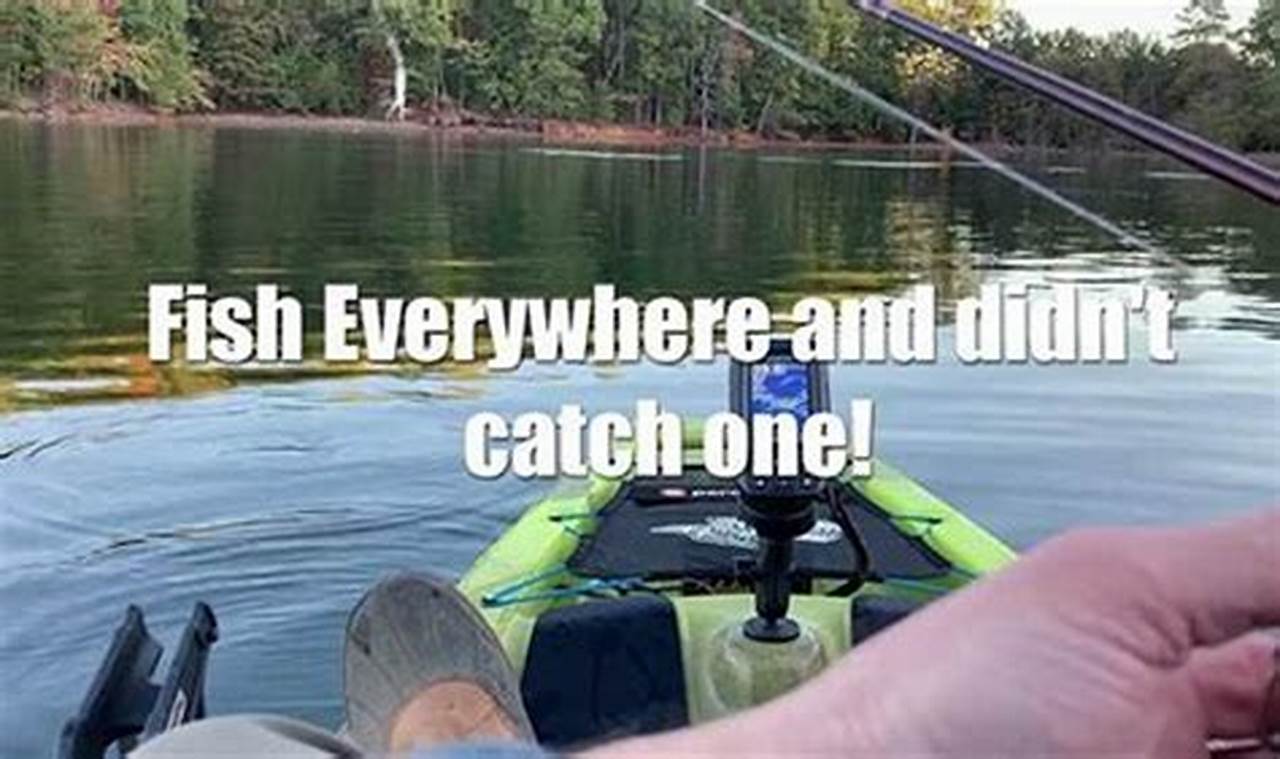 Best Kayak Fishing Spots: Lake Lanier Guide Certified Kayak Fishing Instructor – Learn Kayak Angling with Expert Guidance Best Kayak Fishing Spots: Lake Lanier Guide | Certified Kayak Fishing Instructor – Learn Kayak Angling with Expert Guidance