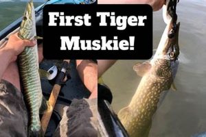 Best Kayak Fishing Spots in WNY: A Guide Certified Kayak Fishing Instructor – Learn Kayak Angling with Expert Guidance Best Kayak Fishing Spots in WNY: A Guide | Certified Kayak Fishing Instructor – Learn Kayak Angling with Expert Guidance