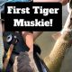 Best Kayak Fishing Spots in WNY: A Guide | Certified Kayak Fishing Instructor – Learn Kayak Angling with Expert Guidance