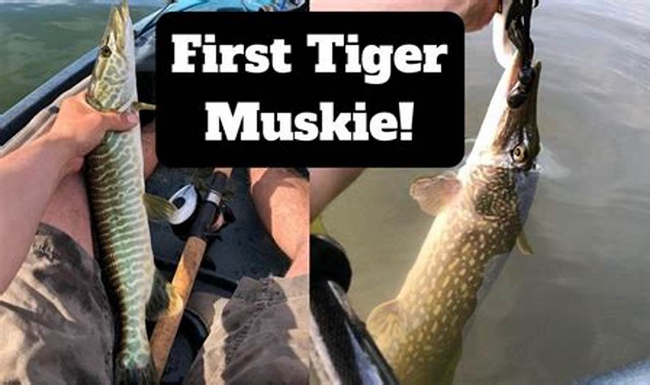 Best Kayak Fishing Spots in WNY: A Guide | Certified Kayak Fishing Instructor – Learn Kayak Angling with Expert Guidance