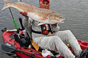 Kayak Fishing for Red Drum: Tips & Tricks Certified Kayak Fishing Instructor – Learn Kayak Angling with Expert Guidance Kayak Fishing for Red Drum: Tips & Tricks | Certified Kayak Fishing Instructor – Learn Kayak Angling with Expert Guidance