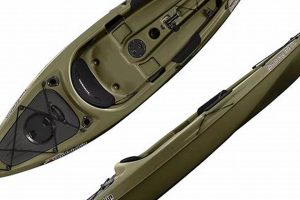 Top Sun Dolphin Fishing Kayak 10ft Models | Certified Kayak Fishing Instructor – Learn Kayak Angling with Expert Guidance