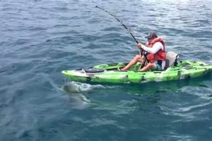 Epic Kayak Fishing: Shark Catch! | Certified Kayak Fishing Instructor – Learn Kayak Angling with Expert Guidance
