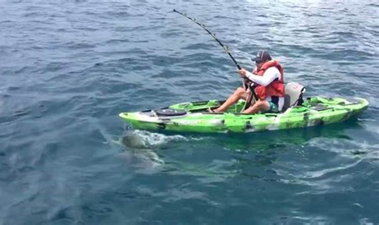 Epic Kayak Fishing: Shark Catch! | Certified Kayak Fishing Instructor – Learn Kayak Angling with Expert Guidance