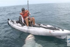 Epic Kayak Shark Fishing: A Thrilling Guide | Certified Kayak Fishing Instructor – Learn Kayak Angling with Expert Guidance