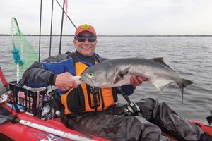Ultimate Kayak Fishing for Trophy Bluefish Guide Certified Kayak Fishing Instructor – Learn Kayak Angling with Expert Guidance Ultimate Kayak Fishing for Trophy Bluefish Guide | Certified Kayak Fishing Instructor – Learn Kayak Angling with Expert Guidance