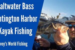 Best Kayak Fishing Spots: Huntington Harbor Guide | Certified Kayak Fishing Instructor – Learn Kayak Angling with Expert Guidance