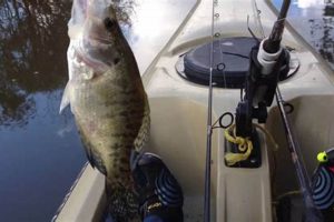 Top Kayak Fishing Spots: Lake Somerville Guide | Certified Kayak Fishing Instructor – Learn Kayak Angling with Expert Guidance