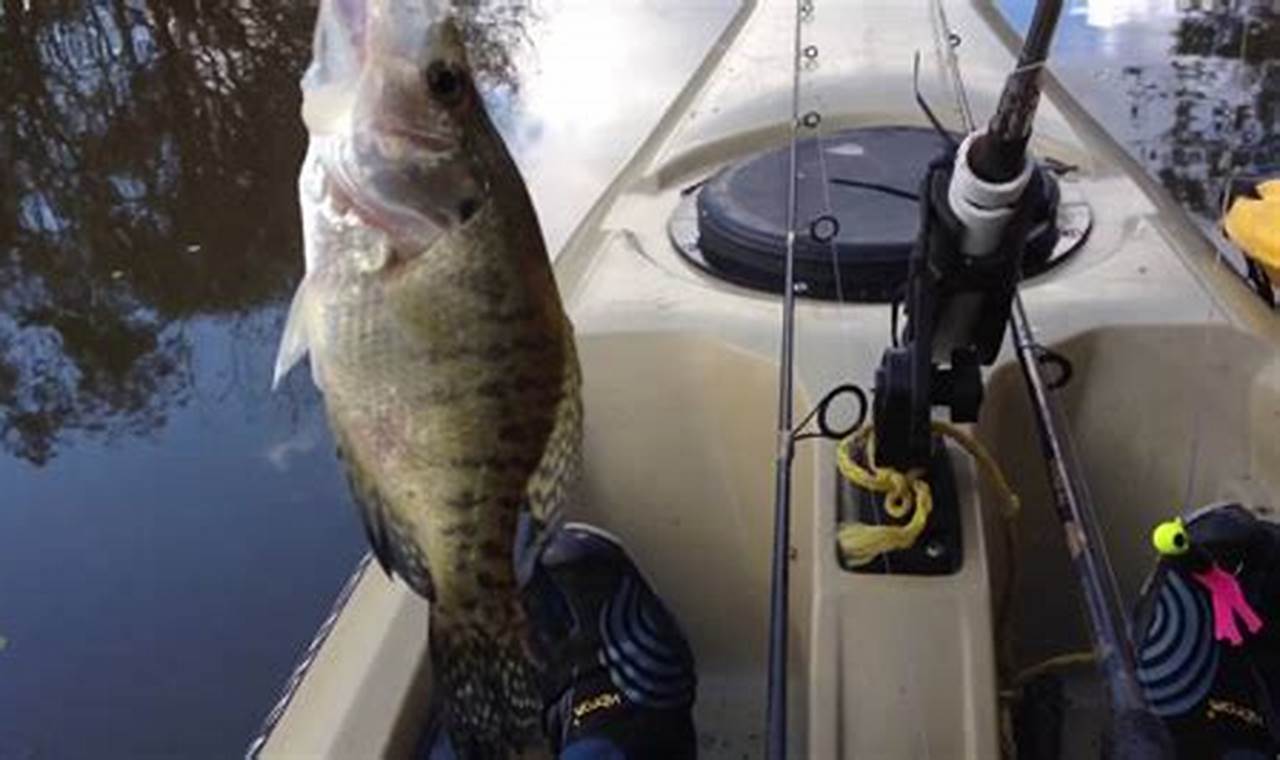 Top Kayak Fishing Spots: Lake Somerville Guide | Certified Kayak Fishing Instructor – Learn Kayak Angling with Expert Guidance