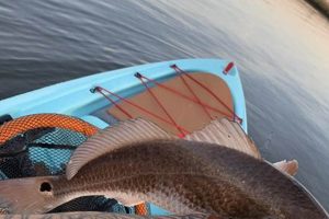 Kayak Fishing for Louisiana Redfish: A Guide | Certified Kayak Fishing Instructor – Learn Kayak Angling with Expert Guidance