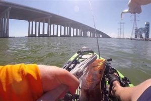 Ultimate Kayak Fishing: Galveston Causeway Guide | Certified Kayak Fishing Instructor – Learn Kayak Angling with Expert Guidance