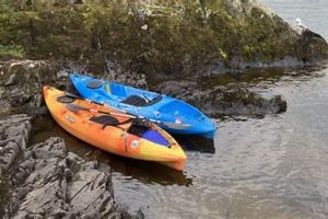 Top Fishing Kayaks Under $600: Budget-Friendly Picks | Certified Kayak Fishing Instructor – Learn Kayak Angling with Expert Guidance