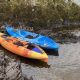 Top Fishing Kayaks Under $600: Budget-Friendly Picks | Certified Kayak Fishing Instructor – Learn Kayak Angling with Expert Guidance