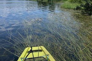 Top Orlando Kayak Fishing Clubs & Groups | Certified Kayak Fishing Instructor – Learn Kayak Angling with Expert Guidance