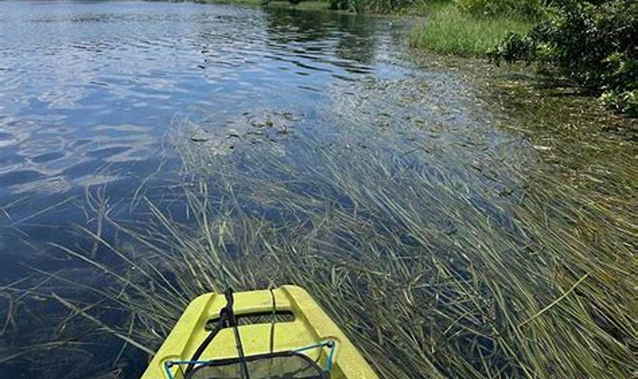 Top Orlando Kayak Fishing Clubs & Groups | Certified Kayak Fishing Instructor – Learn Kayak Angling with Expert Guidance