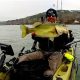 Best Austin Fishing Kayaks: Guide & Top Picks | Certified Kayak Fishing Instructor – Learn Kayak Angling with Expert Guidance