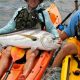 Ultimate East Cape Kayak Fishing Guide | Certified Kayak Fishing Instructor – Learn Kayak Angling with Expert Guidance