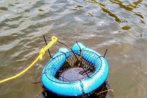 Best Kayak Floating Fish Baskets for Your Next Trip | Certified Kayak Fishing Instructor – Learn Kayak Angling with Expert Guidance