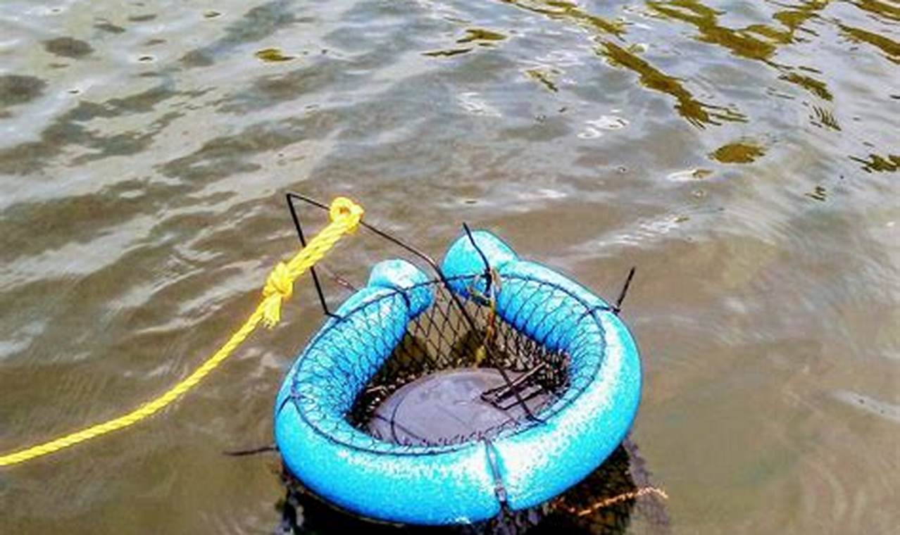 Best Kayak Floating Fish Baskets for Your Next Trip | Certified Kayak Fishing Instructor – Learn Kayak Angling with Expert Guidance