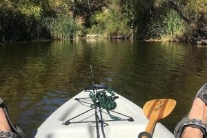 Best Kayak Fishing Spots in Arizona | Certified Kayak Fishing Instructor – Learn Kayak Angling with Expert Guidance