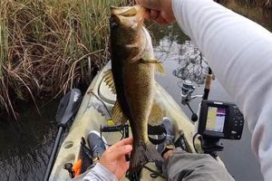 Best Kayak Fishing Spots: Choctawhatchee Bay Guide Certified Kayak Fishing Instructor – Learn Kayak Angling with Expert Guidance Best Kayak Fishing Spots: Choctawhatchee Bay Guide | Certified Kayak Fishing Instructor – Learn Kayak Angling with Expert Guidance